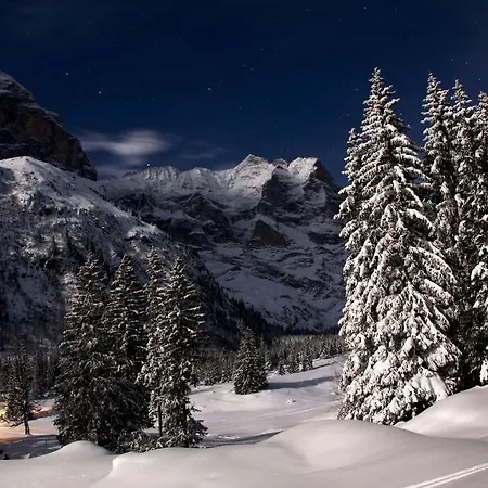 Chalet-hotel Schwarzwaldalp