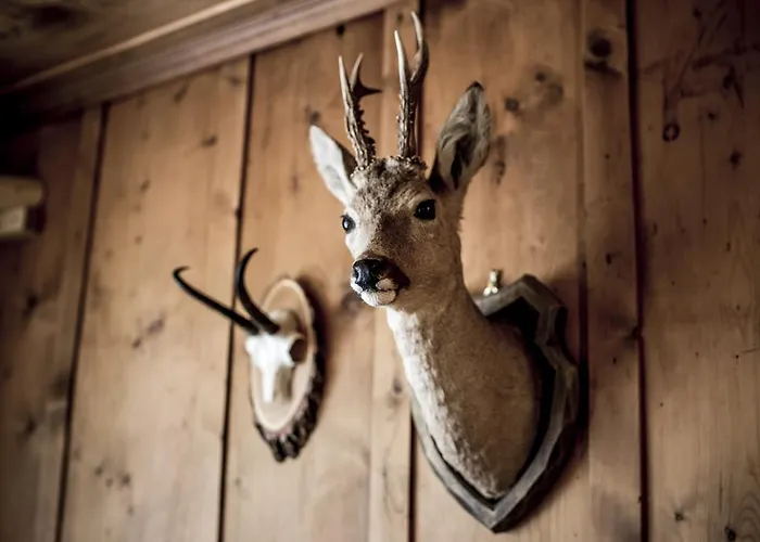 Chalet-hotel Schwarzwaldalp Meiringen