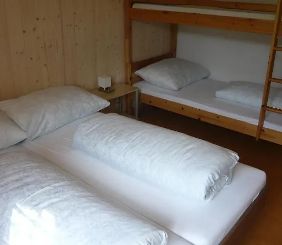 Hotel Chalet-hotel Schwarzwaldalp Meiringen