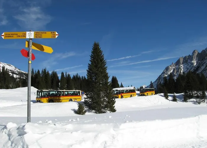 Chalet-hotel Schwarzwaldalp *