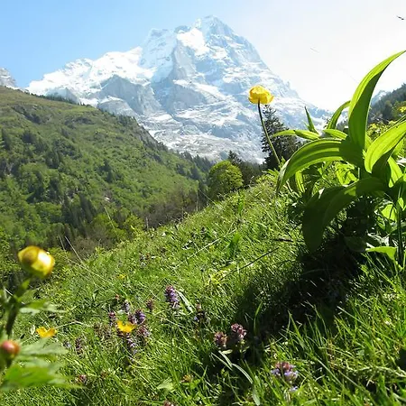 Hotell Chalet-hotel Schwarzwaldalp