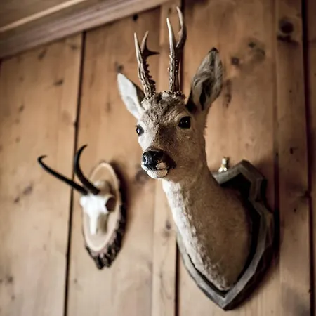 Chalet-hotel Schwarzwaldalp Meiringen