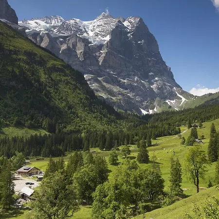 Chalet-hotel Schwarzwaldalp Hotell *