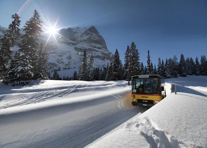 Chalet-hotel Schwarzwaldalp Hotell *