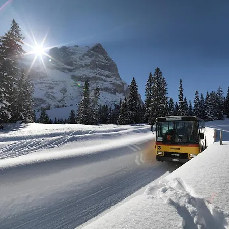 Chalet-hotel Schwarzwaldalp فندق *