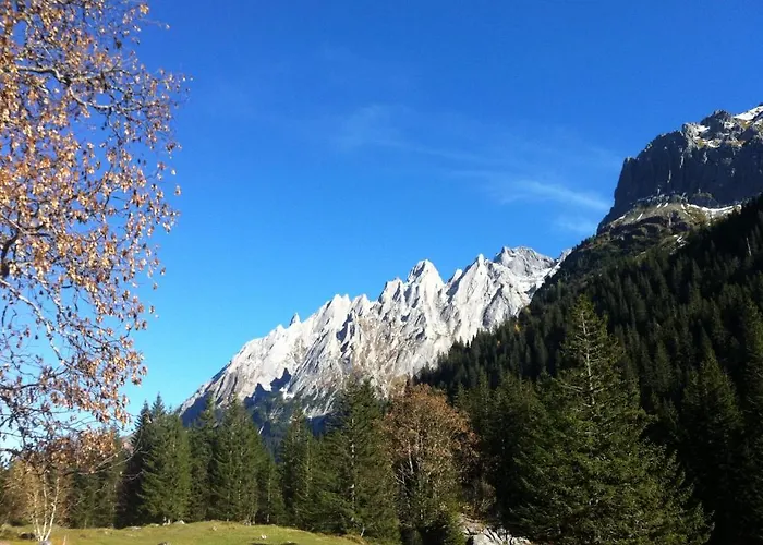 Chalet-hotel Schwarzwaldalp * Meiringen